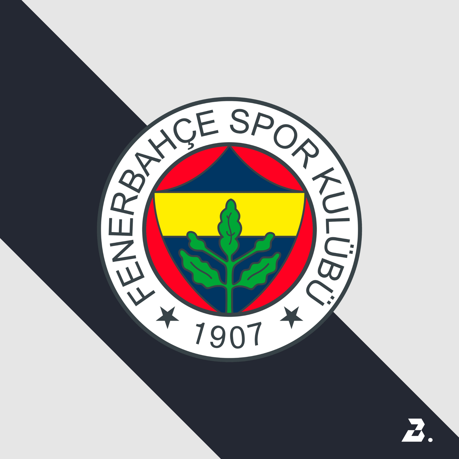 BalaX Fenerbahce Shadow Hoodie