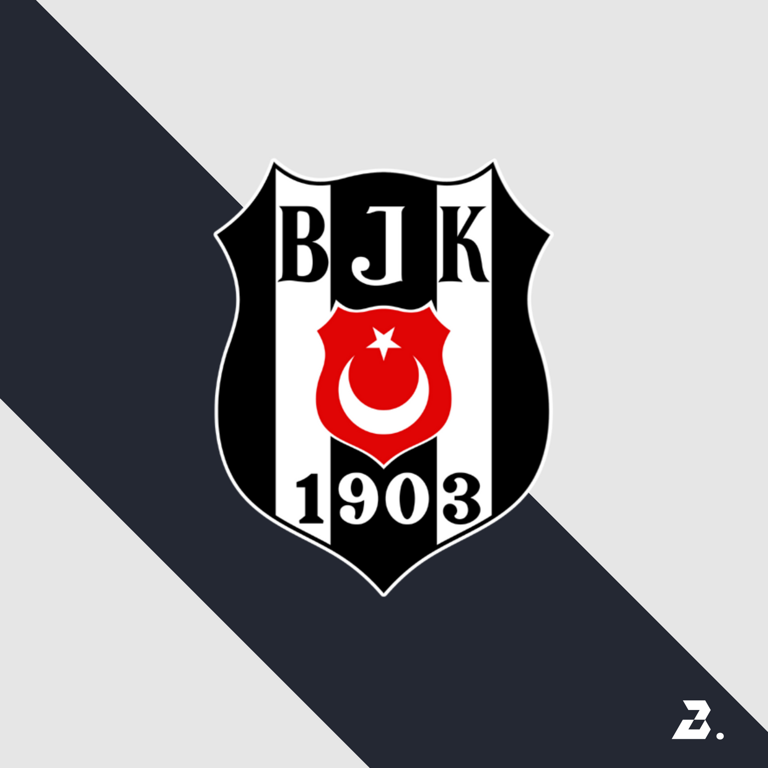 BalaX Besiktas Shadow Hoodie